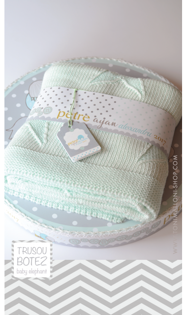Trusou botez cu elefantei si baloane de aer cald, Grey Baby Elephant  1